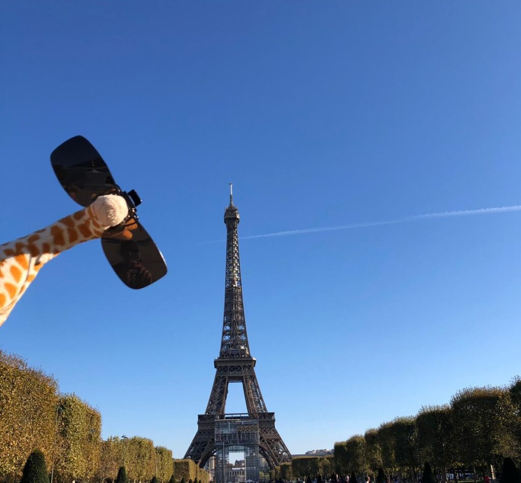 Spot the Giraffe in Paris